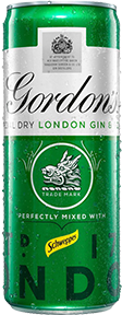 gordons gin and tonic can